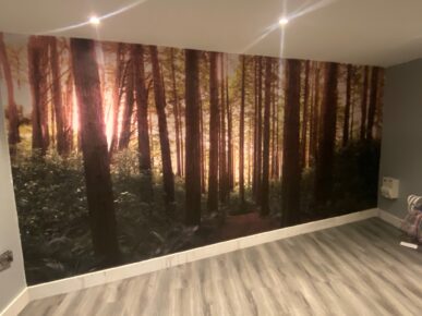 Wall Graphics