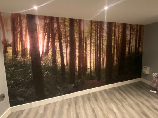 Wall Graphics