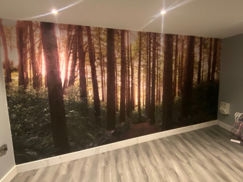 Wall Graphics